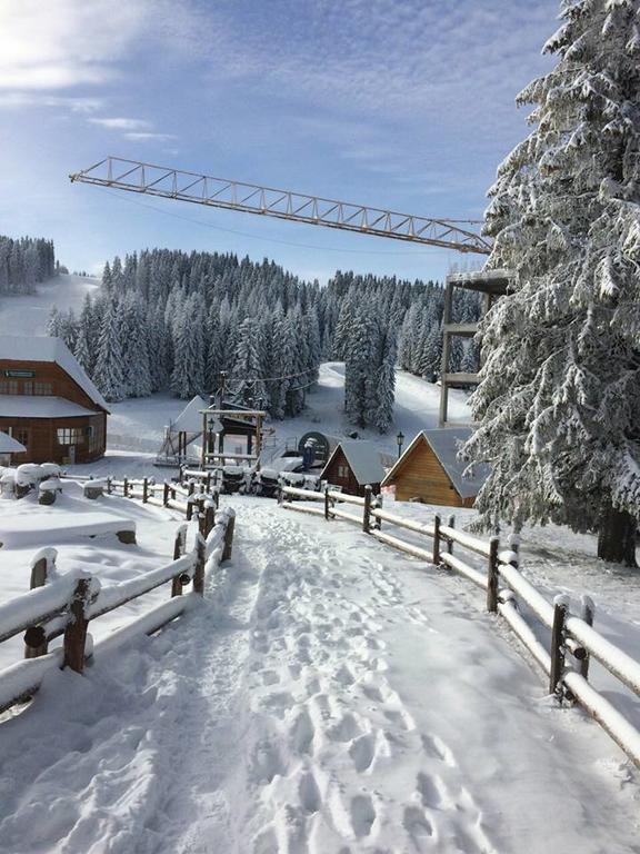 Apartments Vanja I Vrh Kopaonik Bagian luar foto