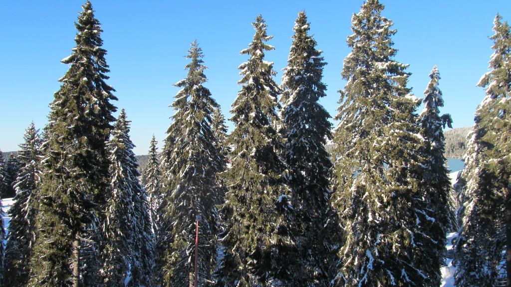 Apartments Vanja I Vrh Kopaonik Bagian luar foto